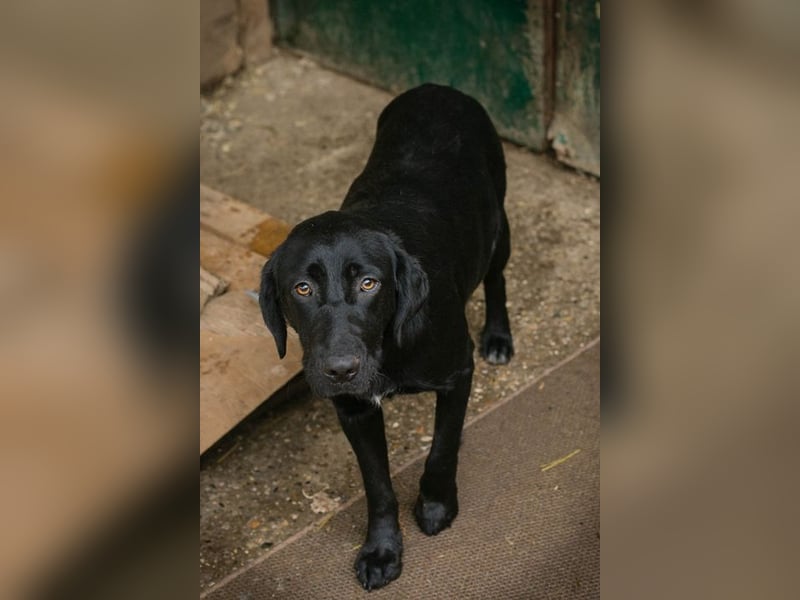 LALEH - ich freue mich auf ein tolles Leben in meiner eigenen Familie
