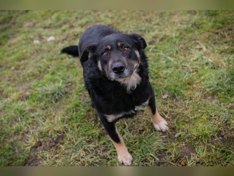 JÜRGEN - ich freue mich darauf, mit meinen Menschen die Welt zu entdecken!