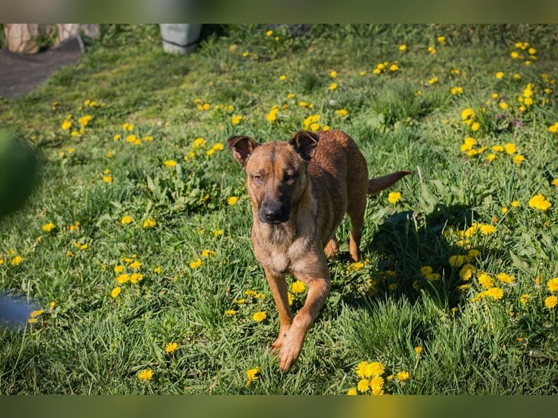 CASSY - ich freue mich auf gemeinsame Abenteuer mit meiner Familie!