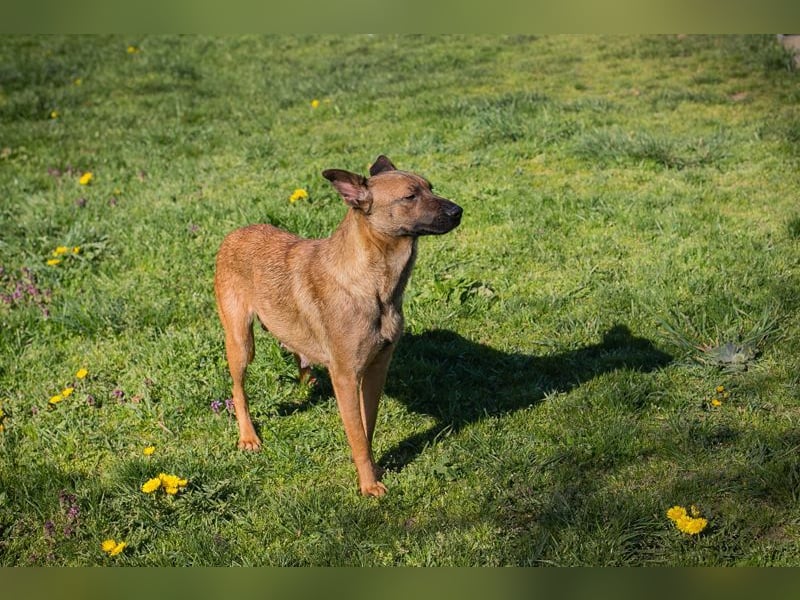 CASSY - ich freue mich auf gemeinsame Abenteuer mit meiner Familie!