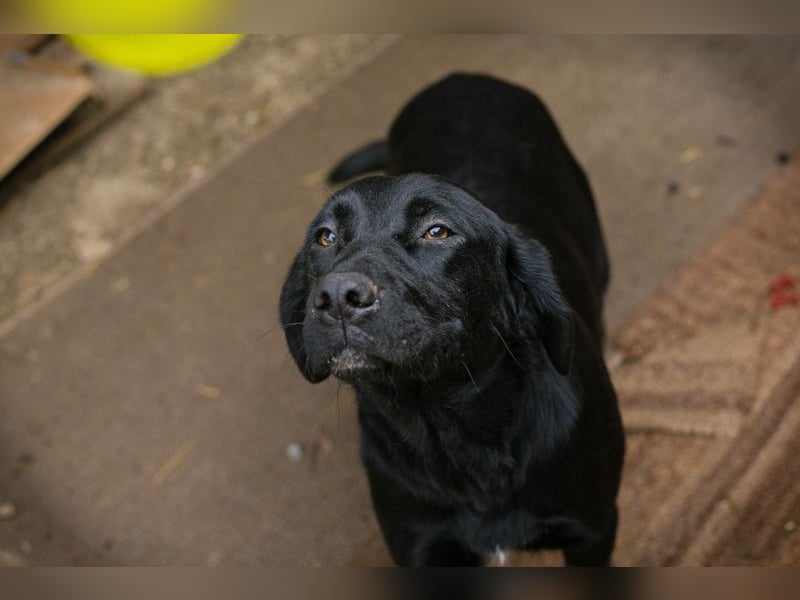LALEH - ich freue mich auf ein tolles Leben in meiner eigenen Familie