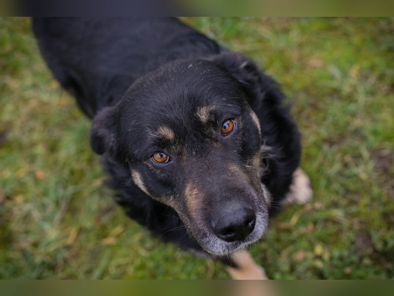 JÜRGEN - ich freue mich darauf, mit meinen Menschen die Welt zu entdecken!