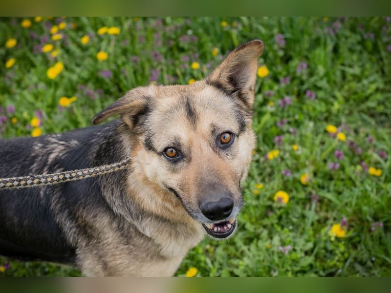 NANDO - ich möchte so gerne ankommen und das Leben in einer Familie genießen...