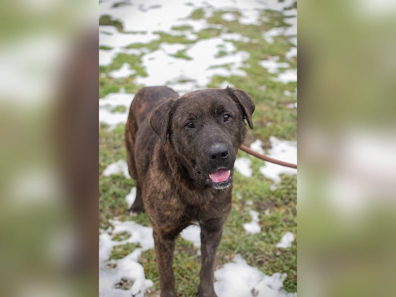 PAX -  ich freue mich schon sooooo sehr auf mein eigenes Zuhause!