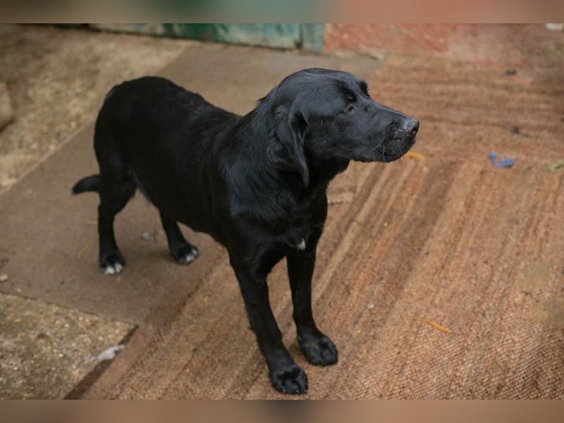 LALEH - ich freue mich auf ein tolles Leben in meiner eigenen Familie