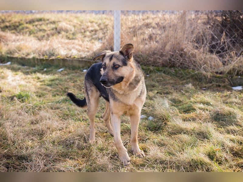 NANDO - ich möchte so gerne ankommen und das Leben in einer Familie genießen...