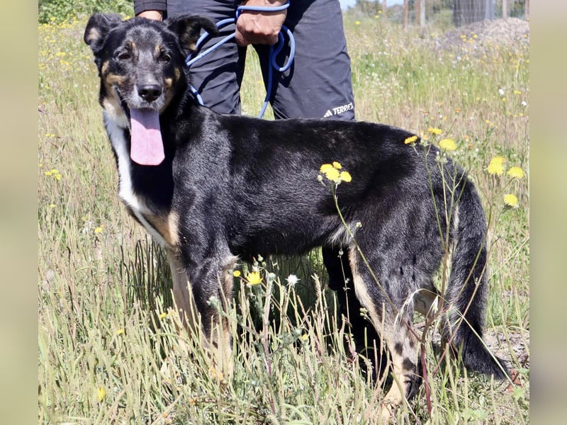 MaMa ❤️ MiMi hat sich aufopferungsvoll gekümmert ~  nun soll auch sie ihr Glück finden