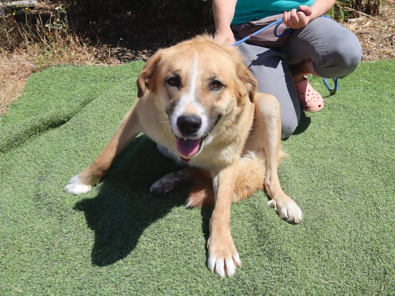 Lieblingsbeschäftigung Kuscheln ❤️ Robina ❤️