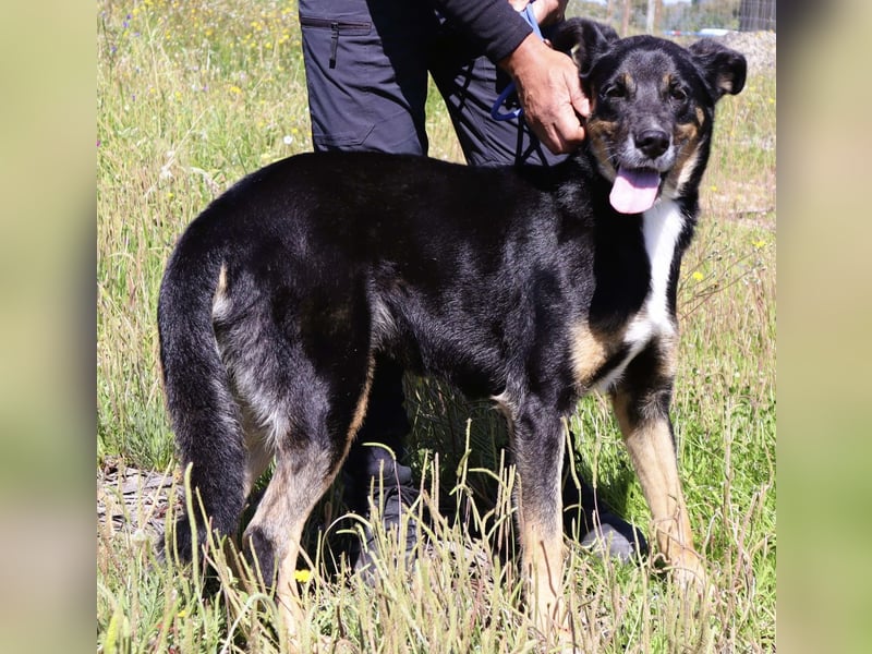 MaMa ❤️ MiMi hat sich aufopferungsvoll gekümmert ~  nun soll auch sie ihr Glück finden