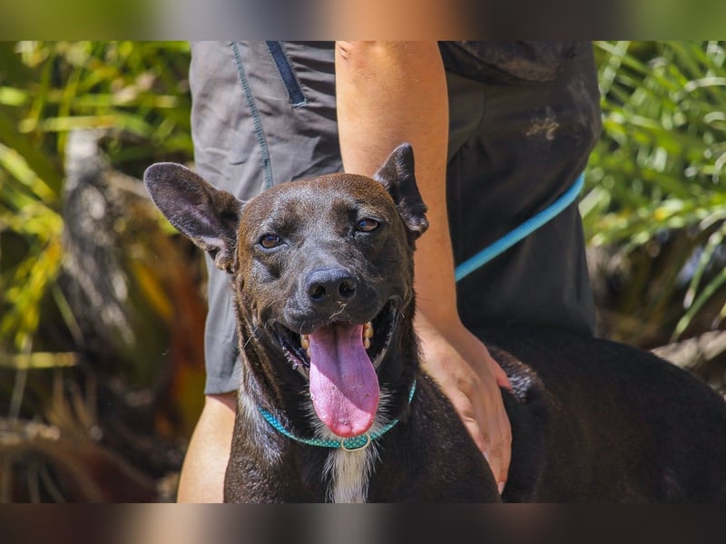 Powerlady Lindinha ❤️ liebt Katzen und Menschen