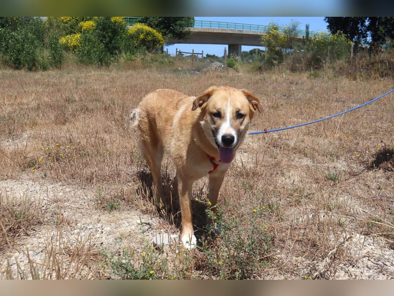 Lieblingsbeschäftigung Kuscheln ❤️ Robina ❤️