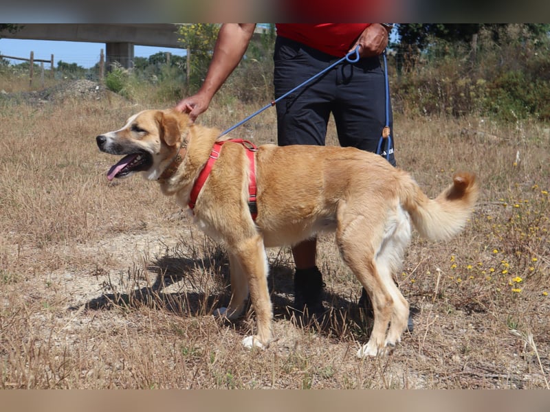 Lieblingsbeschäftigung Kuscheln ❤️ Robina ❤️