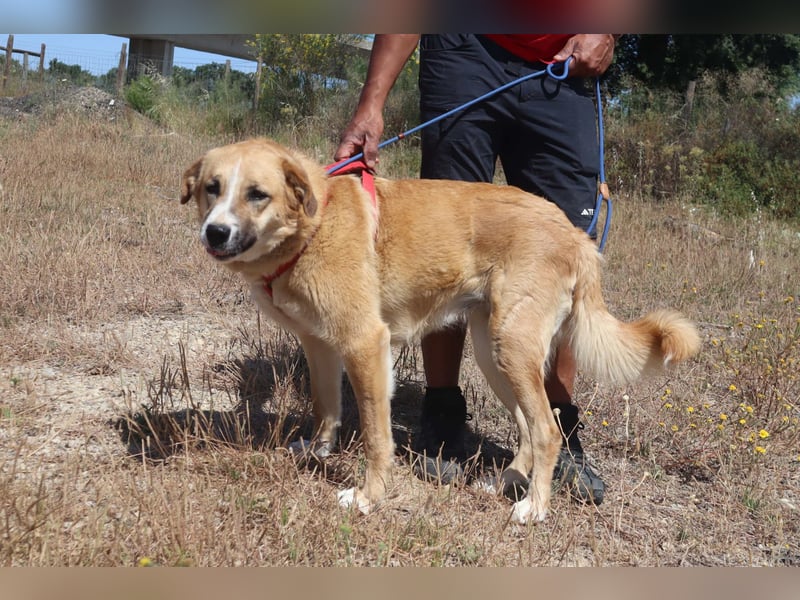 Lieblingsbeschäftigung Kuscheln ❤️ Robina ❤️