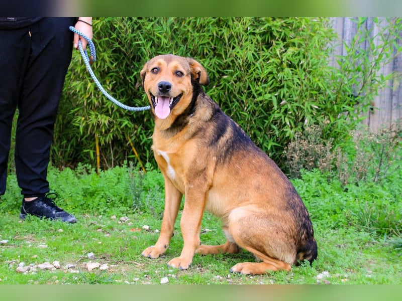 Freundlich – Sanft – Unkompliziert = • P•E•P•E •