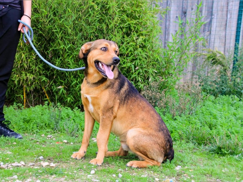 Freundlich – Sanft – Unkompliziert = • P•E•P•E •