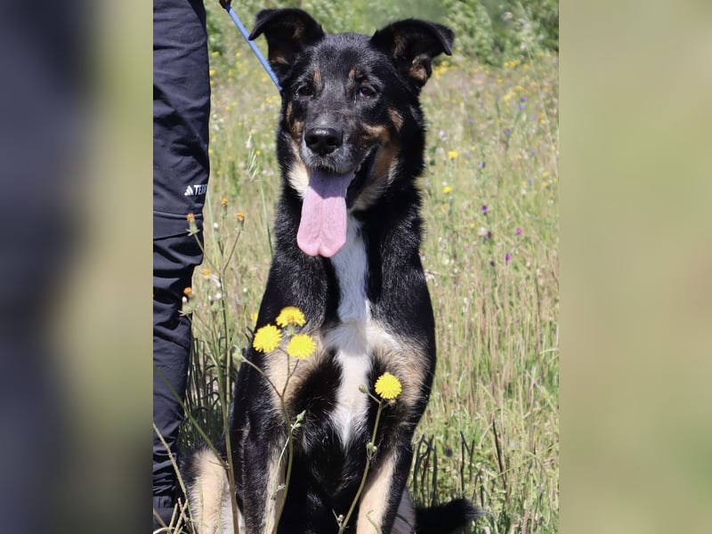 MaMa ❤️ MiMi hat sich aufopferungsvoll gekümmert ~  nun soll auch sie ihr Glück finden