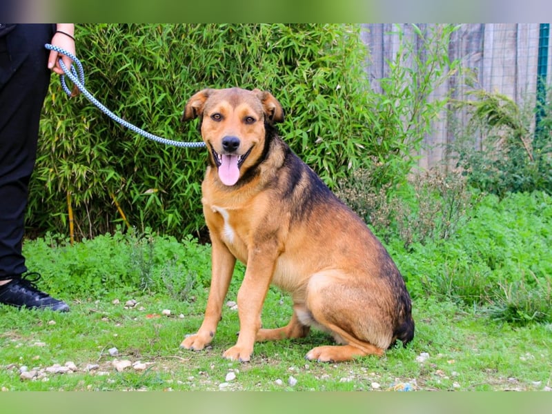 Freundlich – Sanft – Unkompliziert = • P•E•P•E •