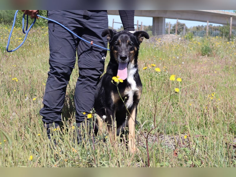 MaMa ❤️ MiMi hat sich aufopferungsvoll gekümmert ~  nun soll auch sie ihr Glück finden