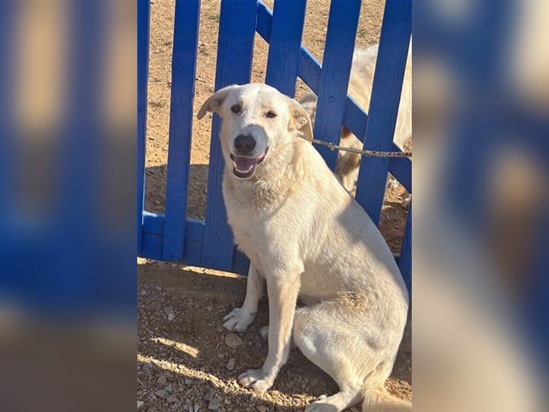 Sammy wartet auf dich!