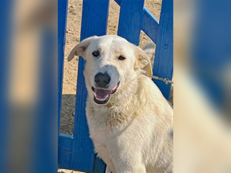 Sammy wartet auf dich!