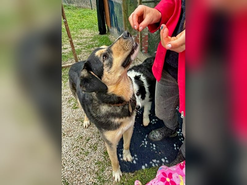 Bert sucht sein Glück