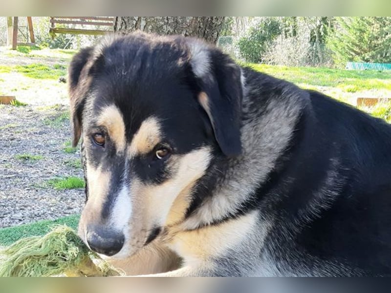 Bert sucht sein Glück