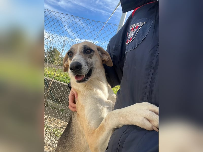 Kelly sucht Sie/Dich!