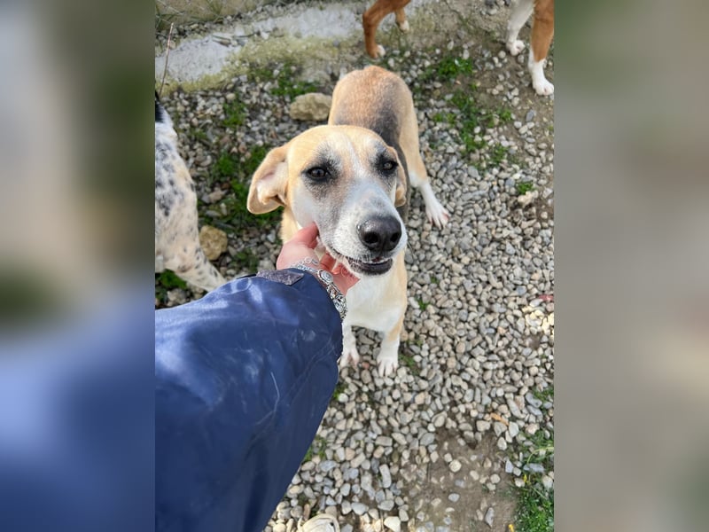 Kelly sucht Sie/Dich!