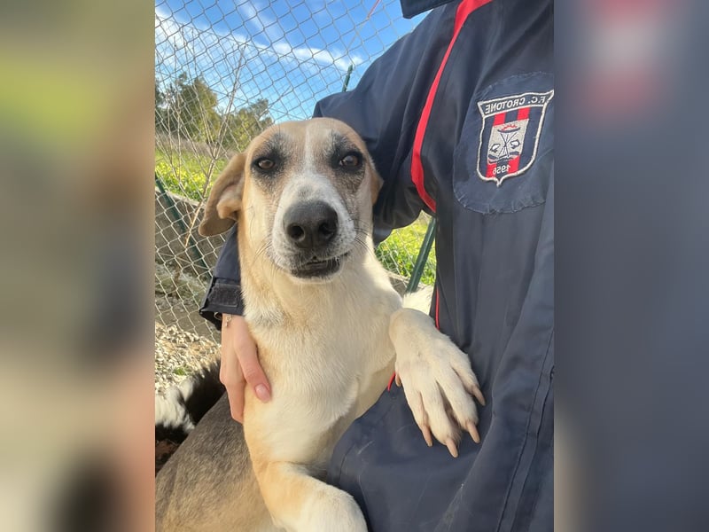 Kelly sucht Sie/Dich!