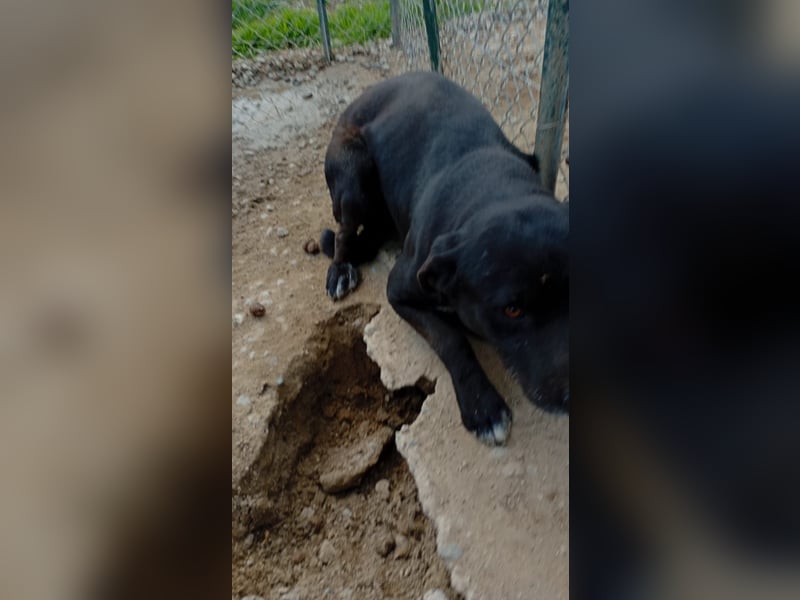 Brunello - Black is beautiful!