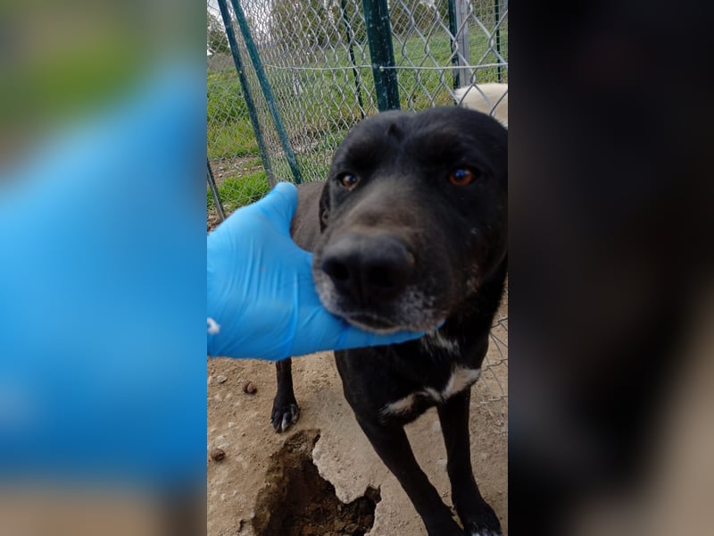 Brunello - Black is beautiful!