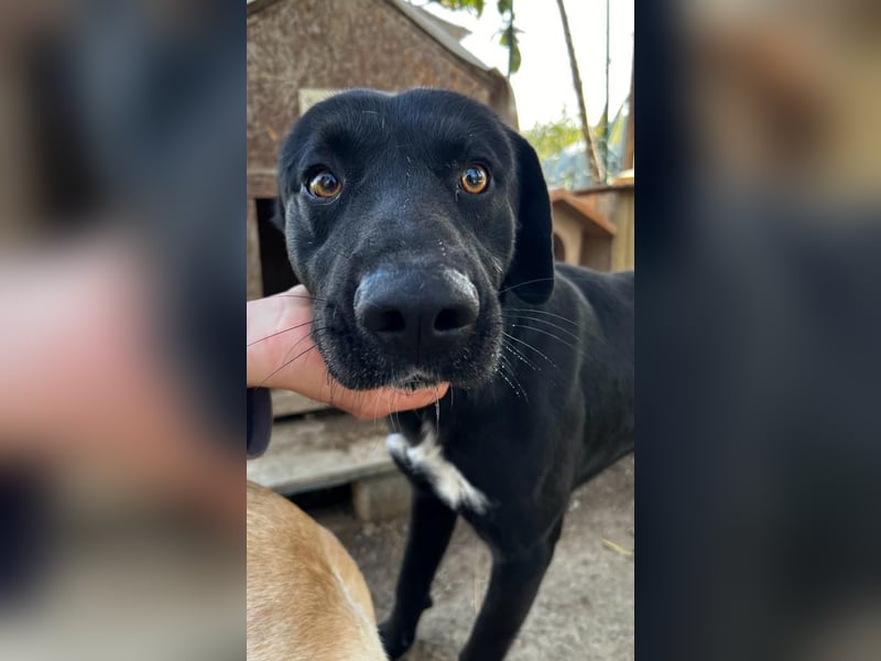 Brunello - Black is beautiful!