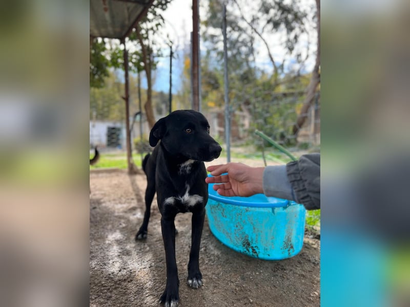 Brunello - Black is beautiful!