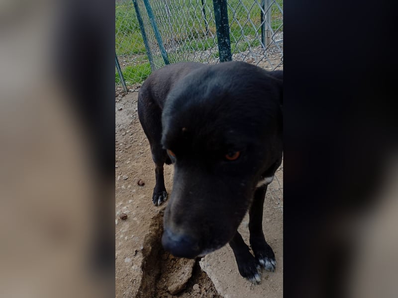 Brunello - Black is beautiful!