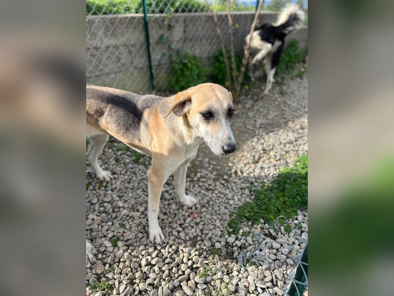 Kelly sucht Sie/Dich!