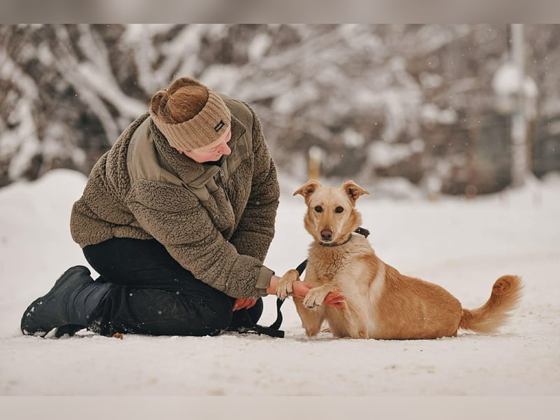 Hübsche Lissy sucht warmes Körbchen