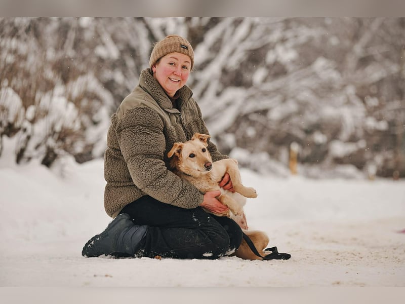 Hübsche Lissy sucht warmes Körbchen