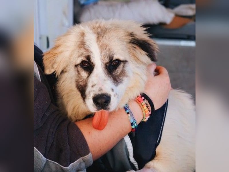 zauberhafte, liebe und wunderschöne Julie