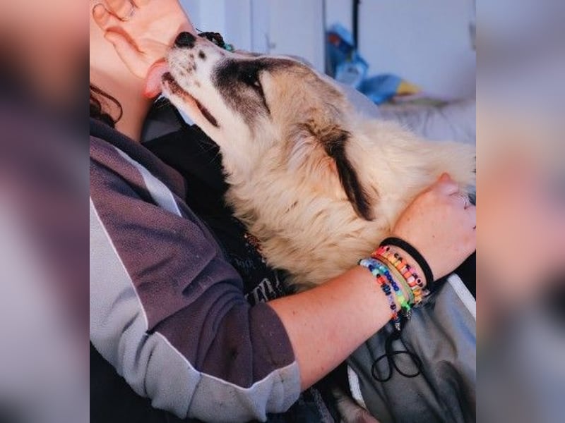 zauberhafte, liebe und wunderschöne Julie