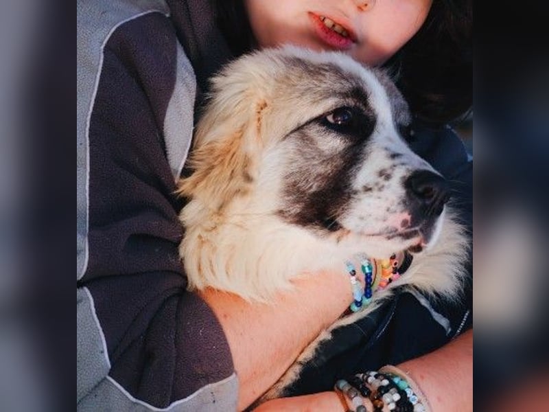 Zuckersüße Julie sucht ihre Herzensmenschen