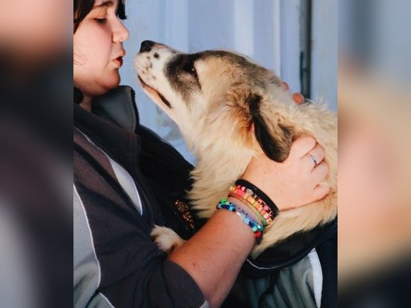 zauberhafte, liebe und wunderschöne Julie