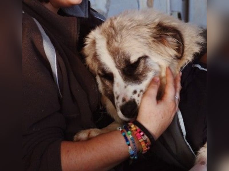 zauberhafte, liebe und wunderschöne Julie