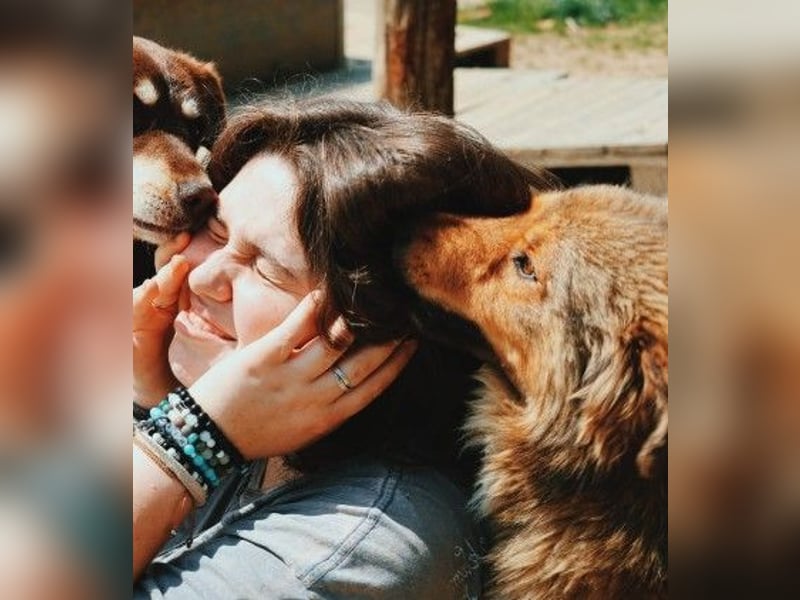 LASSE - zauberhafter Rüde sucht liebevolles Zuhause