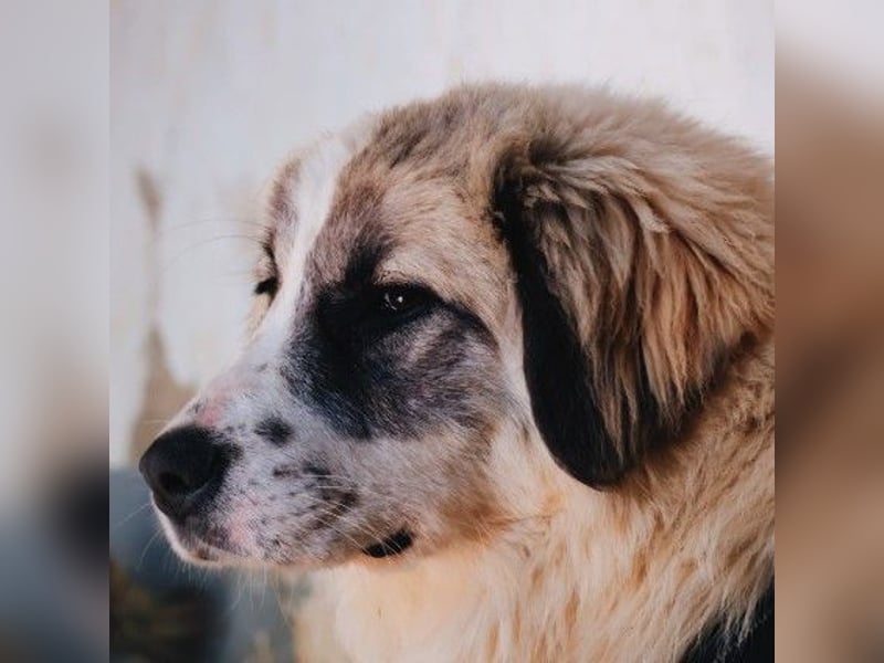 zauberhafte, liebe und wunderschöne Julie