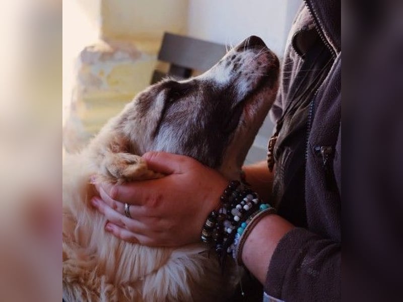 zauberhafte, liebe und wunderschöne Julie