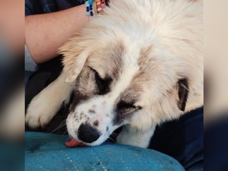 Zuckersüße Julie sucht ihre Herzensmenschen