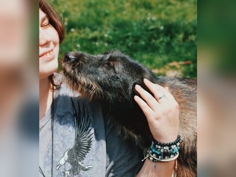 LILITH - verschmuste Hündin sucht ihre Familie
