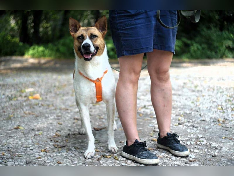 Freundliche Jenny sucht ihre Familie