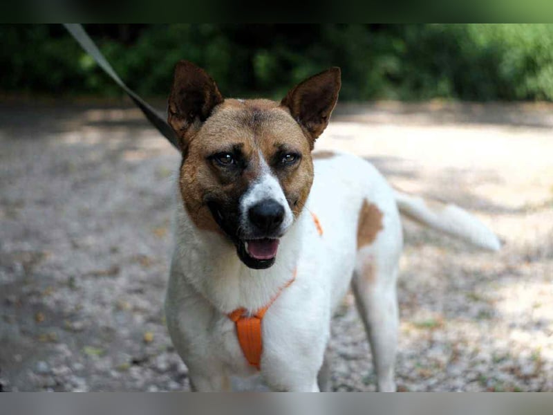 Freundliche Jenny sucht ihre Familie