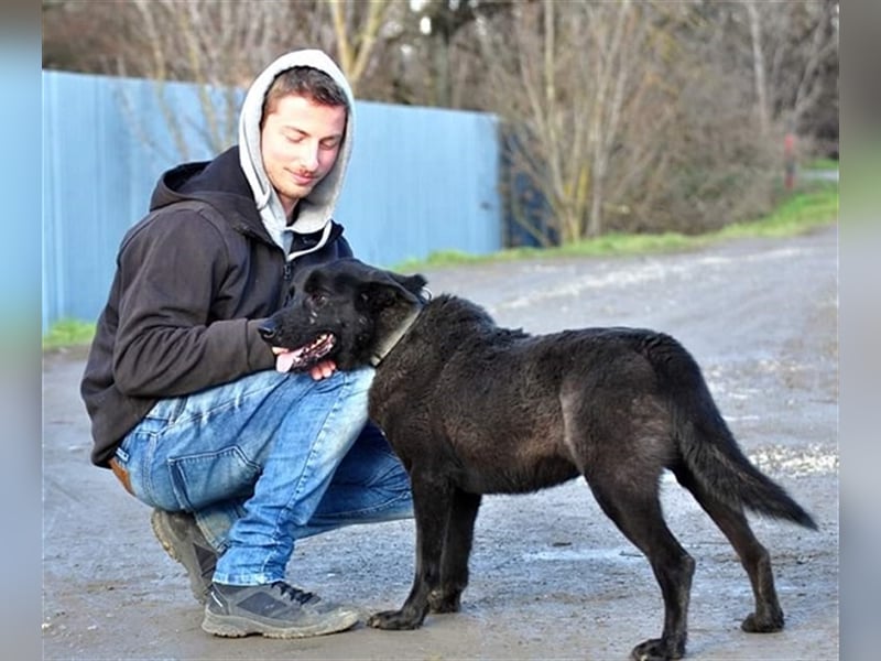 Blacky N28 ist ein wahrer Schatz